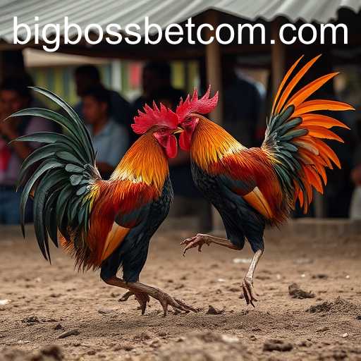 The Exciting World of Sabong Games and BigBossBet